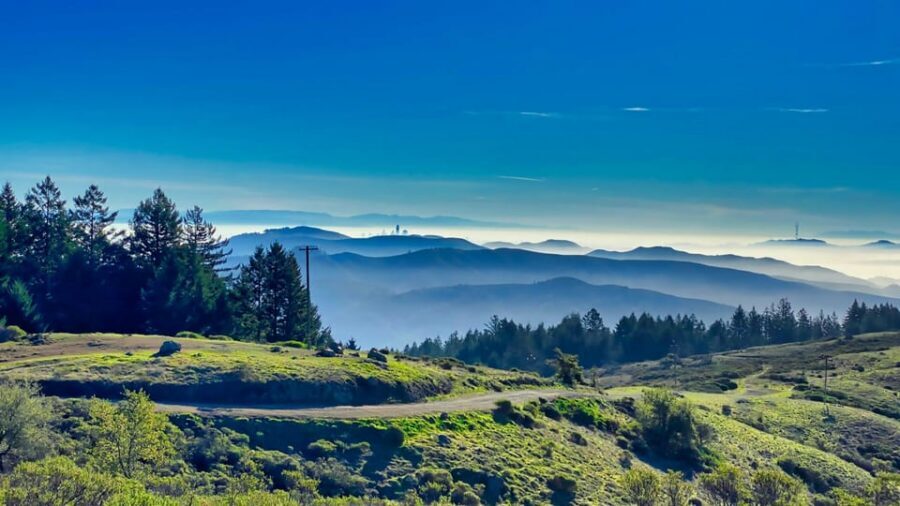 San Francisco: Bike Tour with Muir Woods and Sausalito Visit - Muir Woods National Monument: 1.5 hours with coastal redwoods