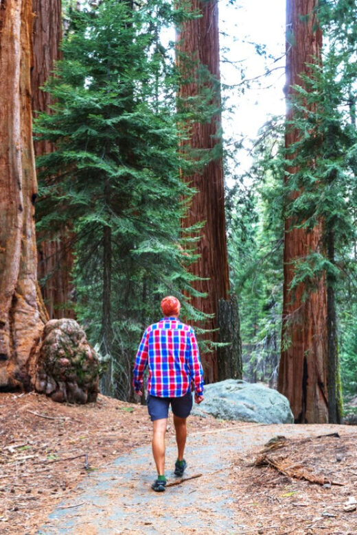San Francisco: Bike Tour with Muir Woods and Sausalito Visit - Who should book this bike + Muir Woods day (and who should skip it)