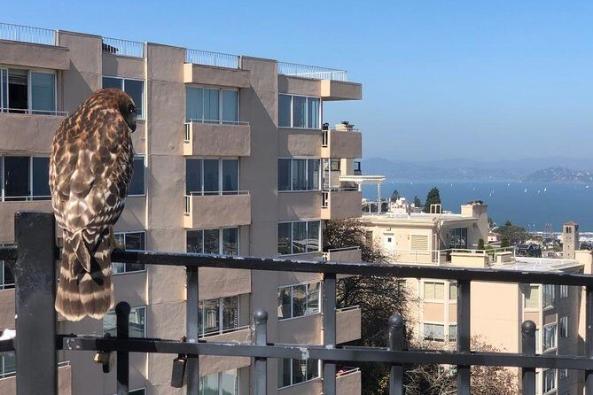 San Francisco Chinatown, Russian Hill, And North Beach Tour - Key things I’d focus on