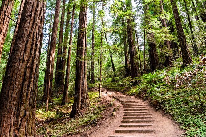 San Francisco, Golden Gate, Sausalito and Muir Woods Private Tour - Private Tour Style: Why Up-To-6 Changes Everything