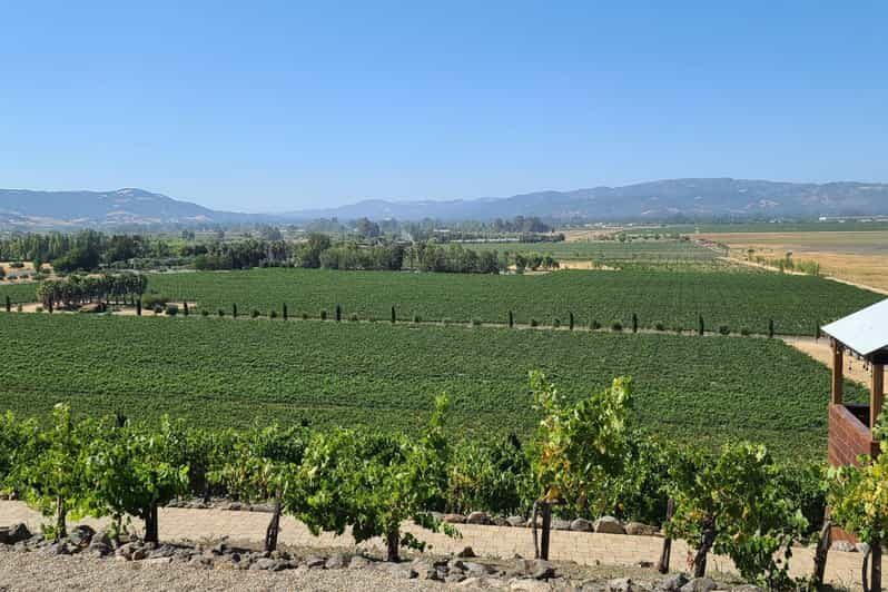 San Francisco: Half-Day Wine Tour with 2 Tastings Included - The Sausalito stretch: why this drive feels like a mini tour by itself