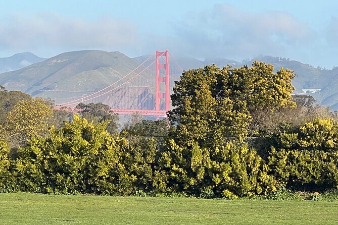 San Francisco: Major Landmarks Private Sightseeing Tour - Lombard Street and Pier 39: The Classic Photos Without the Grind