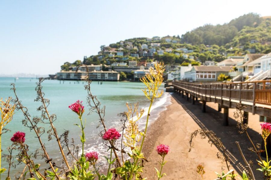San Francisco: Muir Woods and Sausalito Half-Day Trip - Making the most of your Muir Woods walking time