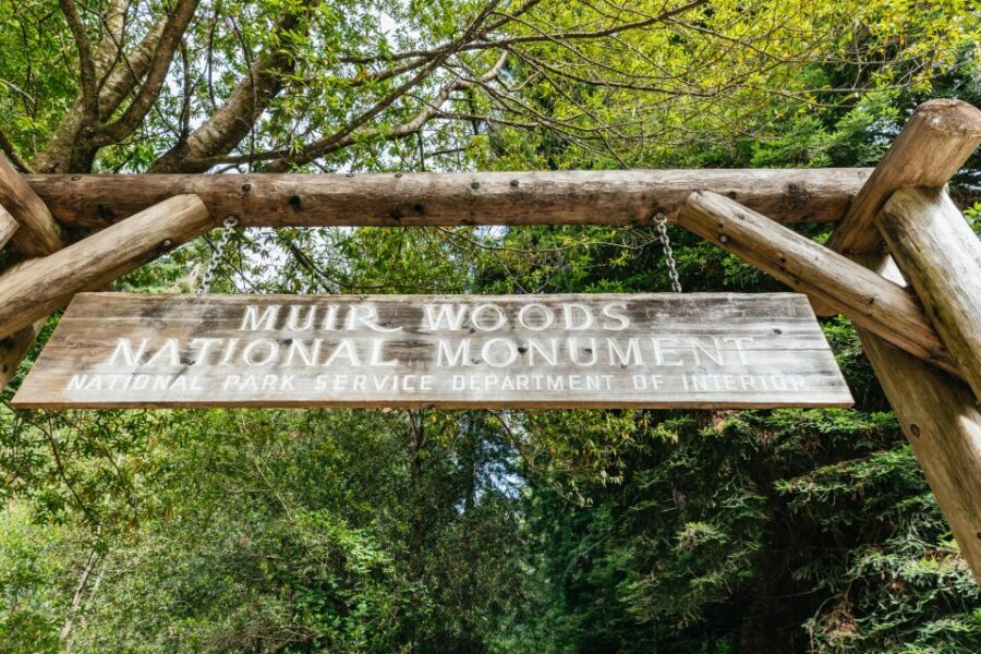 San Francisco: Muir Woods and Sausalito Small-Group Tour - Guide Style Makes or Breaks This Kind of Tour