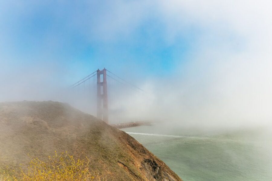 San Francisco: Muir Woods and Sausalito Small-Group Tour - Why Redwoods and Sequoias Fit San Francisco’s Story