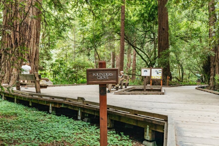 San Francisco: Muir Woods and Sausalito Small-Group Tour - Price and Value: Is $99 a Fair Deal for This Day?