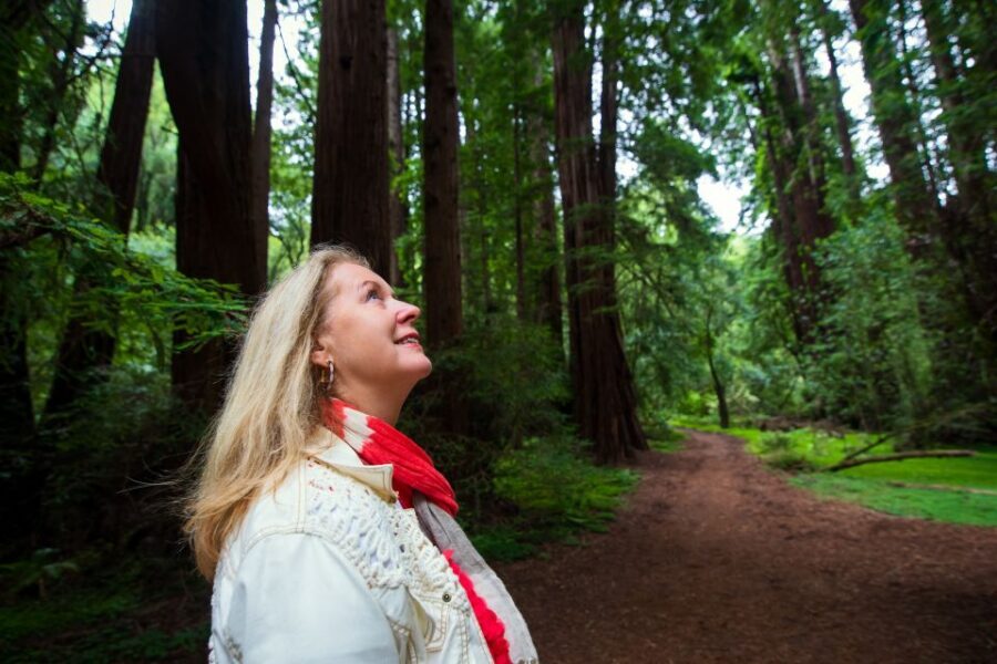 San Francisco: Muir Woods and Sausalito Tour with Admission - Price and value: what you’re really paying for