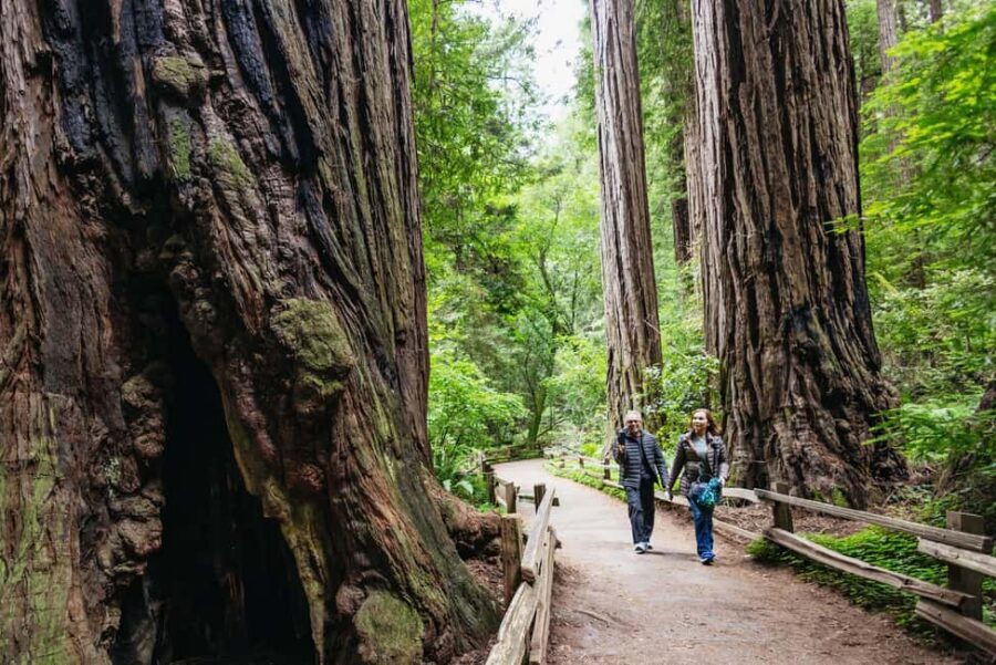 San Francisco: Muir Woods & Sausalito Tour with Ferry Option - The San Francisco Departure: Pickup Options and What to Expect on the Ride
