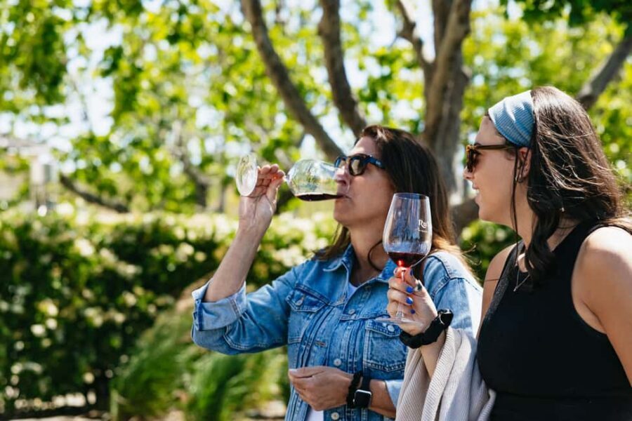 San Francisco: Napa and Sonoma Valley Wine Tour - Key Things I’d Watch For on This Napa-Sonoma Day Trip