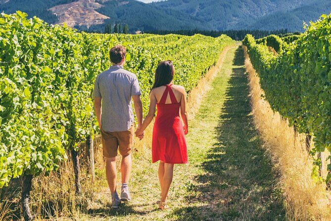 San Francisco: Napa & Sonoma Wine Tour & 24hr Hop-on Hop-off Tour - Key highlights to know before you go