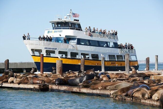 San Francisco Sunset Cruise - Angel Island, Sausalito, and Tiburon: the calm shoreline stretch