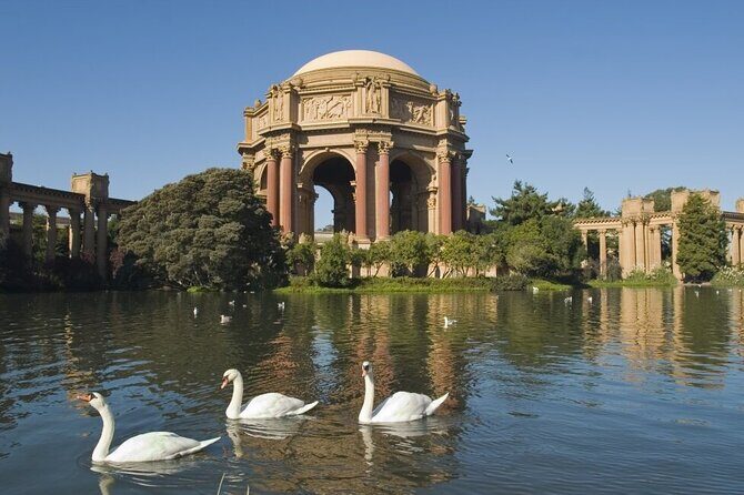 San Francisco: Surrey Ride Along the Scenic Marina Waterfront - Small group energy and family-friendly comfort