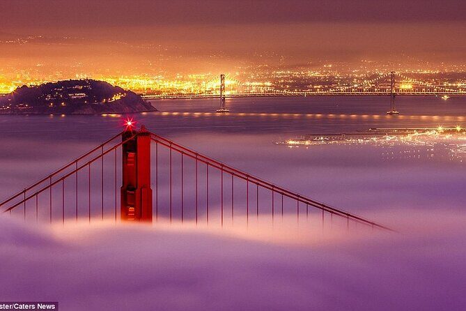 SFO Pick-Up with City Sightseeing Tour - Driver commentary and real tips you can use right away