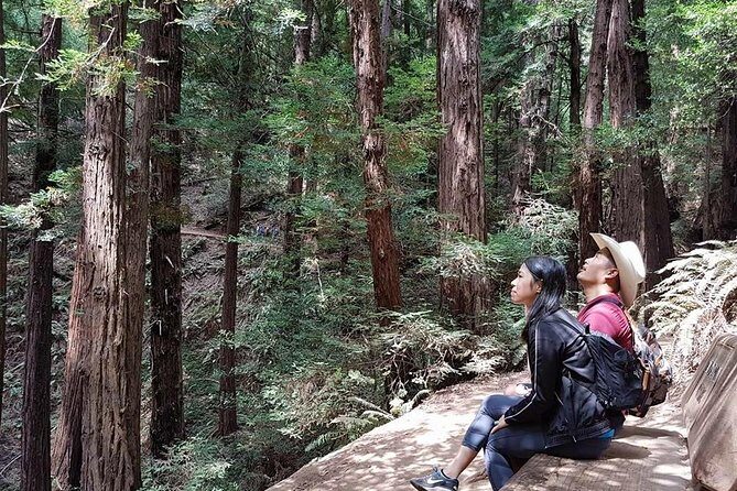 Shore Excursion from SF: Guided Tour to Muir Woods and Sausalito - Price and Value: How $84.15 Adds Up (When It’s Done Right)