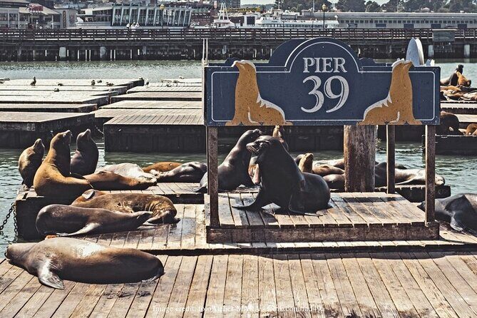 The Best of San Francisco: Private Half-Day Walking Tour - Tips I’d use to get the most from the route