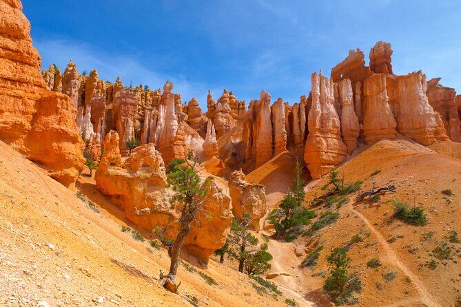 Zion, Bryce, Antelope, Grand Canyon, Las Vegas 6-Day Tour from SF - Key Highlights Worth Your Attention